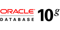 Oracle Database 10g